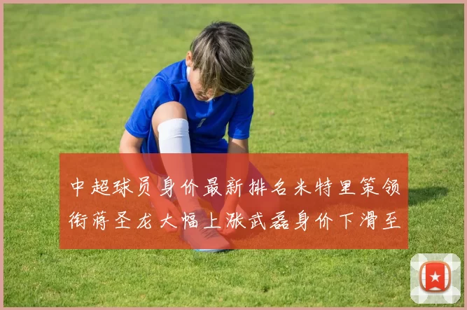 中超球员身价最新排名米特里策领衔蒋圣龙大幅上涨武磊身价下滑至50万