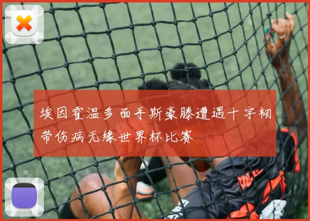 埃因霍温多面手斯豪滕遭遇十字韧带伤病无缘世界杯比赛