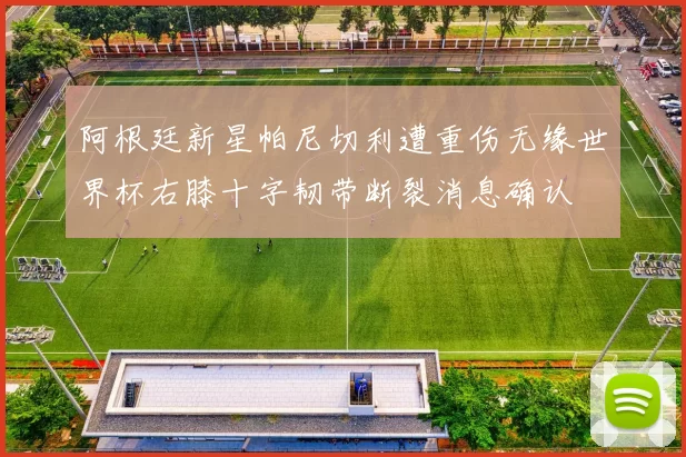阿根廷新星帕尼切利遭重伤无缘世界杯右膝十字韧带断裂消息确认